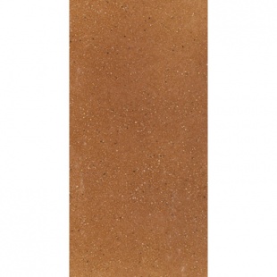Аквариус Brown плитка базовая Paradyz 30*14,8*1,1 см
